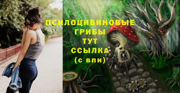 СК Зеленокумск