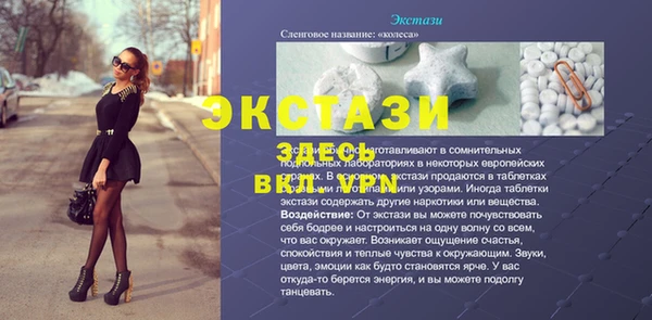 СК Зеленокумск