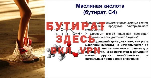 индика Нестеровская