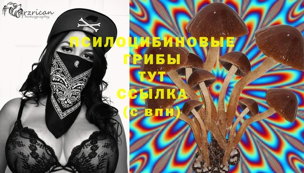 СК Зеленокумск