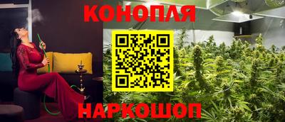 прущие крисы Гатчина