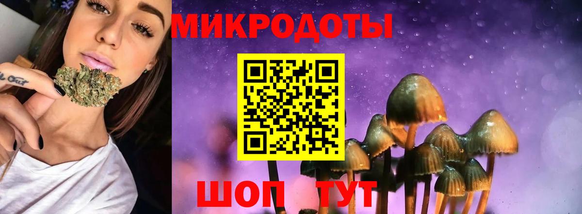 Галлюциногенные грибы Cubensis Славянск-на-Кубани